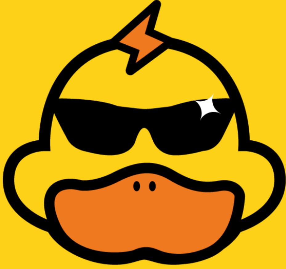 快鸭vpn下载电脑